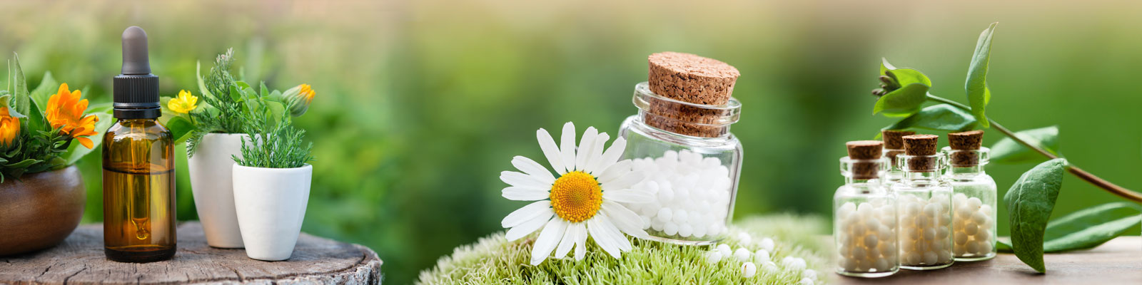 International Homoeopathic Foundation