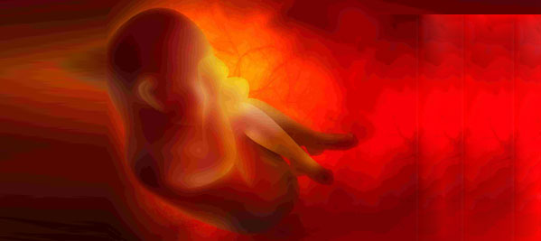 Essence of Embryology in Homeopathy